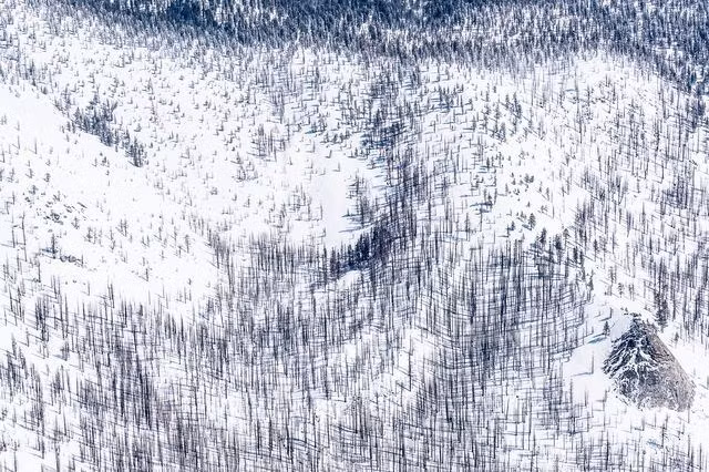 El parque nacional Yosemite cubierto de nieve (Fuente: National Geographic)
