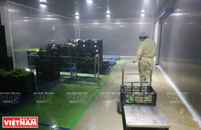 El almacén (Fuente: VNA)