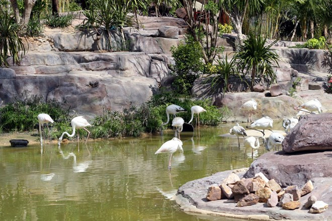 El área de flamencos (Fuente: VNA)