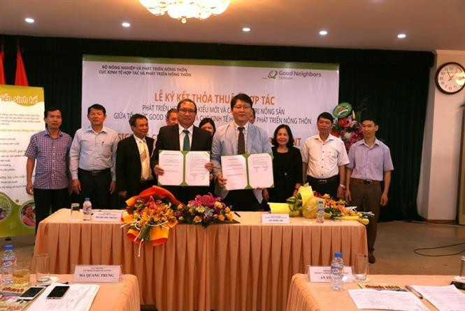 El director del Departamento de Cooperación Económica y Desarrollo Rural, del Ministerio vietnamita de Agricultura y Desarrollo Rural, Ma Quang Trung (izquierda) y el representante jefe de la organización humanitaria sudcoreana Good Neighbors International (GNI), An Yong Sic, firmaron un acuerdo de cooperación sobre un programa para apoyar el desarrollo de un nuevo tipo de cooperativa y la cadena de valor de los productos agrícolas vietnamitas (Fuente: VNA)