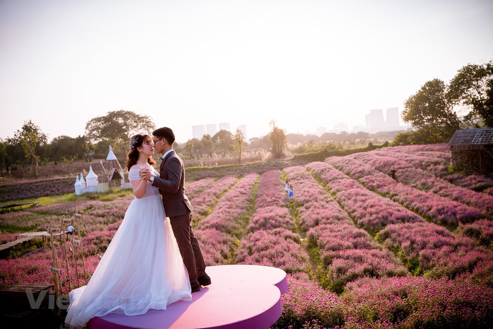 Por lo tanto, Gomphrena globosa se utiliza para hacer flores de boda. Me Linh fue el área residencial de los generales durante la era del Rey Hung en la historia temprana. La tierra fértil solía ser un centro de intercambio económico y cultural entre las áreas montañosas, medias y vecinas de la ciudadela de Thang Long. Al igual que otros lugares históricos del país, el distrito de Me Linh ahora alberga varios sitios históricos, incluidas casas comunales, templos y sitios arqueológicos. El sitio arqueológico de Thanh Den en la comuna de Tu Lap se descubrió por primera vez en 1970. Entre los objetos desenterrados se encontraban objetos de piedra, bronce y cerámica, incluidos muchos moldes de bronce (Fuente: Vietnam+)