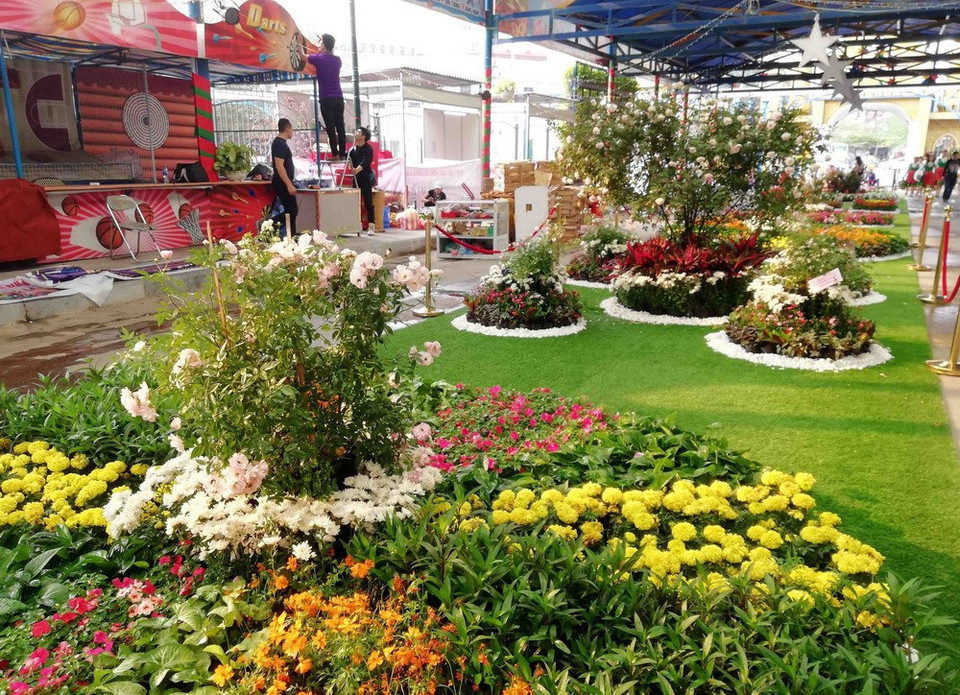 Diversas especies de rosa embellecen al parque acuático de Ho Tay (Lago Oeste), donde se desarrolla el Festival (Fuente: VNA)