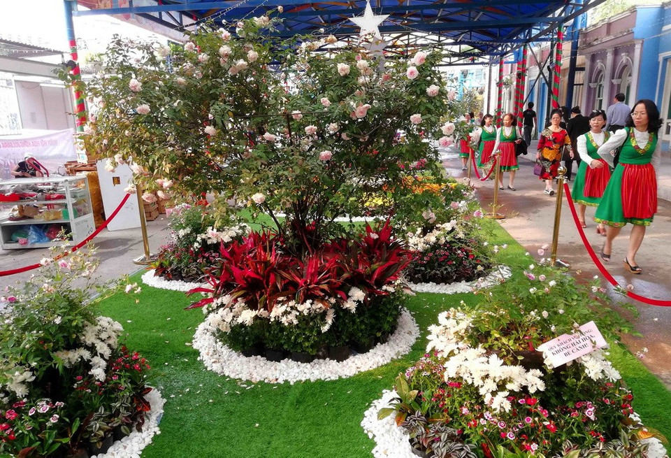 Diversas especies de rosa embellecen al parque acuático de Ho Tay (Lago Oeste), donde se desarrolla el Festival (Fuente: VNA)