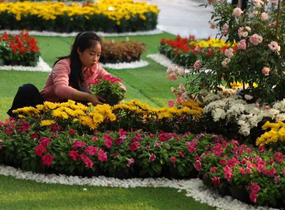 Actividades preparativas ante el Festival de la rosa de Bulgaria (Fuente: VNA)