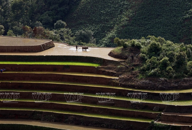 Hay mucho trabajo por hacer antes de que el terreno esté listo para la nueva producción. (Fuente: VNA)