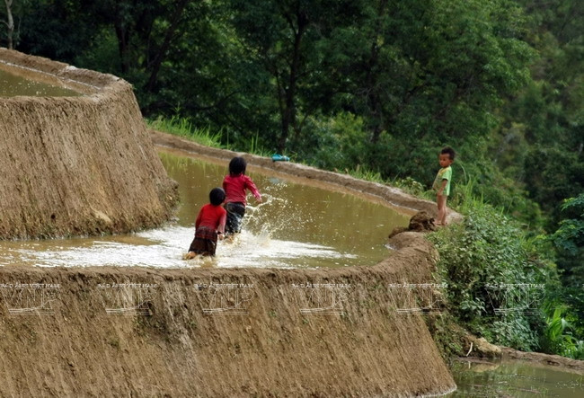 Niños retozan en los campos llenos de agua (Fuente: VNA)
