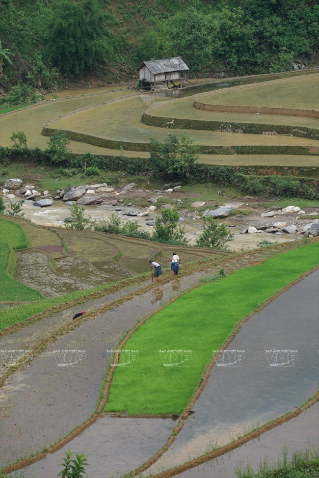 También aprovechan los recursos hídricos de los arroyos (Fuente: VNA)