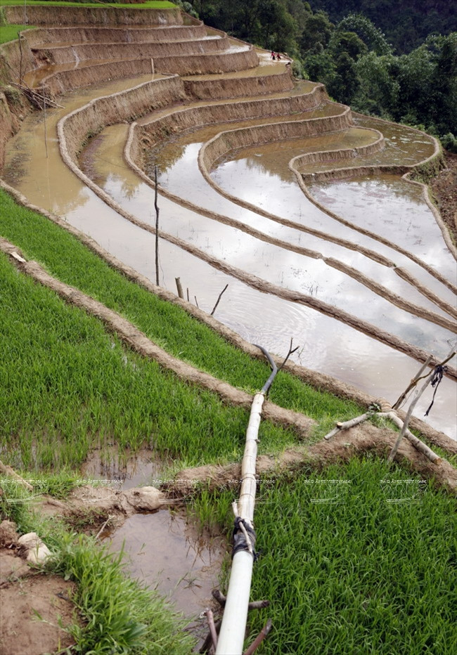 Un rudimento sistema de riego transporta el agua desde la cima hasta los campos. (Fuente: VNA)