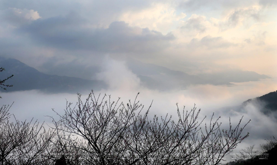 Valle nuboso de Ta Xua en amanecer (Fuente: VNA)