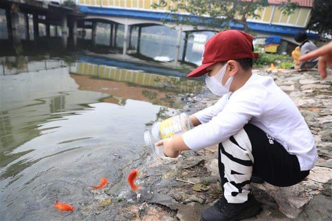 Liberación de carpas en el lago Oeste, Hanoi, foto tomada el 25 de enero (Fuente: VNA)