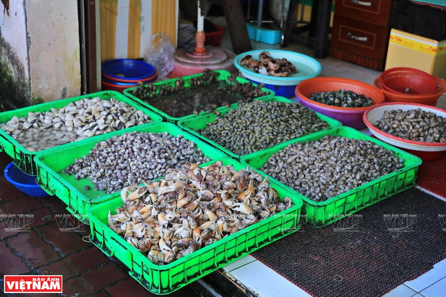 Mariscos frescos y deliciosos para servir a turistas en Vung Tau. (Fuente: VNA)