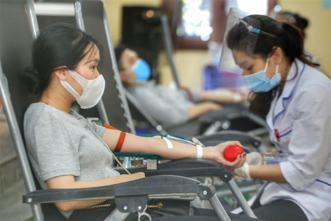 Los donantes de sangre voluntarios. (Fuente: VNA)