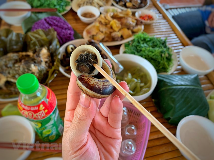 La gente local dice que esta especie de caracol es muy rara porque solo viven en cuevas, y no es hasta la temporada de lluvias que los caracoles salen a buscar comida y reproducirse. Solo aparecen al comienzo de la temporada de lluvias, cuando el bosque está húmedo (de abril a septiembre) y luego casi desaparecen. A menudo se aferran a los agujeros de las rocas en los charcos, arroyos y lentamente se aferran a las rocas a lo largo del arroyo para comer musgo. Después de las inundaciones, no solo se adhieren a los agujeros de las rocas, los caracoles son más abundantes debajo de la capa de musgo. Los caracoles de las montañas rocosas son crujientes, dulces y tienen un sabor a nuez a hierbas. (Foto: Vietnam +) 