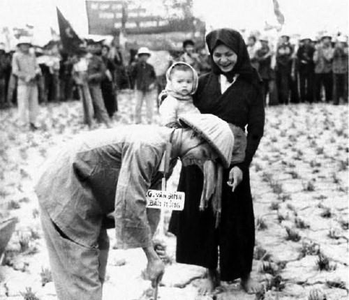 La reforma agraria se completó con éxito en 1957, aboliendo definitivamente el régimen de terratenientes feudales y estableciendo el régimen de tenencia de la tierra de los campesinos. La victoria de la reforma agraria marcó un hito fundamental, al cambiar la agricultura del Norte y captar el entusiasmo de los campesinos, además de tener un gran efecto en impulsar la producción, recuperación económica, así como solución de secuelas de la guerra (Fuente: VNA)