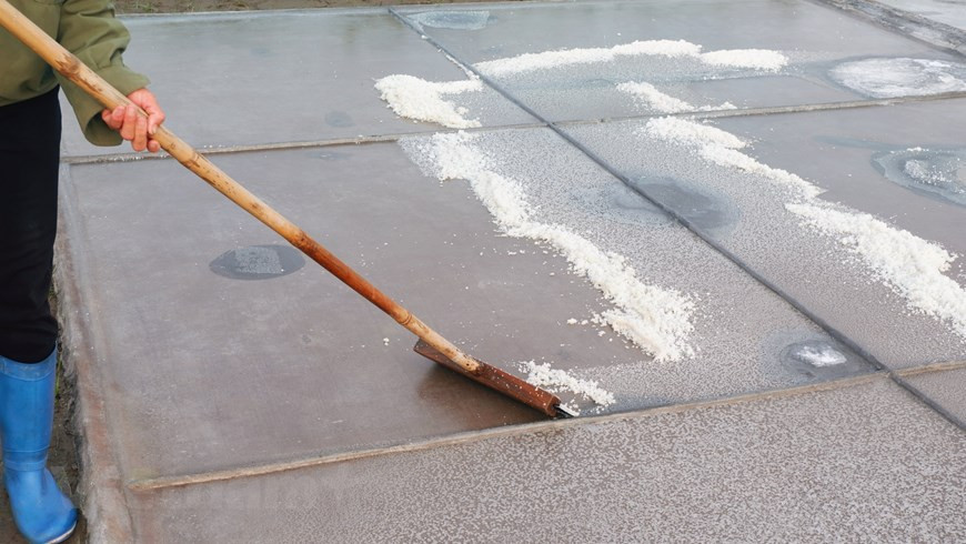 El campo de sal de Bach Long puede convertirse en un atractivo turístico si saben aprovecharlo. Actualmente, el modelo de ecoturismo y actividades comunitarias está muy desarrollado. Con la ventaja de un atractivo paisaje natural, y un pueblo productor de sal único, seguramente atraerá a los turistas a visitarlo. Además, el gobierno local deberían replanificar el área de producción de sal para no producir tan fragmentada como lo es hoy. Junto con la producción de sal, Bach Long también tiene las condiciones naturales, la ecología diversa, la tierra fértil y la iniciativa en los recursos hídricos. La costa tiene más de 31 kilómetros de largo con marismas y lagunas que tienen un gran potencial para el desarrollo de la acuicultura. (Foto: Vietnam +) 