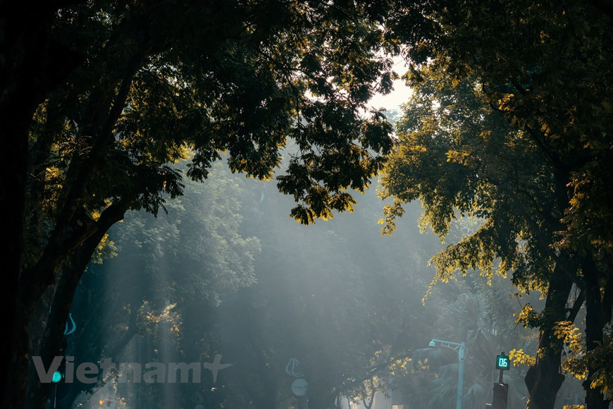 Se trata de una temporada en la que las mujeres de Hanoi tienen la oportunidad de usar el tradicional traje y toar fotos en las calles más hermosas de la ciudad, como las calles Kim Ma, Phan Dinh Phung y Hoang Dieu, o en el Templo de la Literatura. El Ao Dai es originario de la dinastía feudal Nguyen, establecida en la ciudad de Hue en el siglo XVIII. En el siglo XX, dicha prenda empezó a ser más popular en todo el país. Además de la etnia mayoritaria Kinh, las otras comunidades utilizan y aprecian este traje. El Ao Dai constituye una legítima expresión de la cultura nacional, y la prenda que por antonomasia contiene el alma y el carácter de la mujer vietnamita. (Foto: Vietnam+)