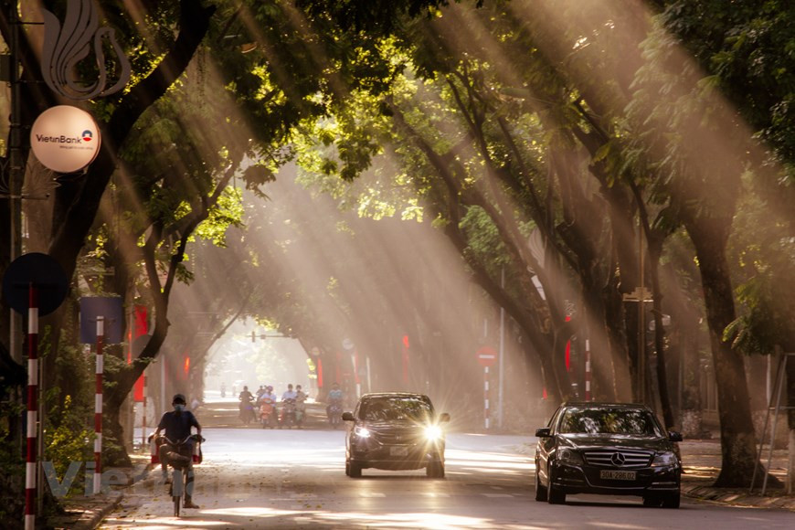 Los árboles de Sau (dracontomelon duperreanum) en la calle Phan Dinh Phung están cubiertos de hojas nuevas. El otoño también es una ocasión para que la gente use el ao dai, el traje nacional de Vietnam, en las calles para tomar fotos. Hong Trang, una local, dice: “Esta es la estación más hermosa del año. Todo, desde el clima hasta el paisaje, me da ganas de vivir más despacio y disfrutarlos. "El otoño es la única época en la que no dudo en salir a pasear por la ciudad en moto para disfrutar del clima agradable. Es un poco melancólico, cierto, pero el otoño en Hanoi es único y delicado", destacó. (Foto: Vietnam+) 