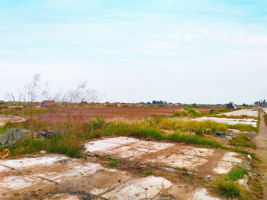 Muchos campos de sal fueron abandonados, cubiertos de hierba, patios de secado agrietados y degradados. El área de producción de sal es ahora de solo 60 hectáreas. Los empleados que trabajan en la producción de sal son principalmente ancianos y algunos niños en edad escolar que aprovechan la oportunidad de ayudar a sus familias. Con el fin de ayudar a los productores a mantener y desarrollar la industria de la sal, implementar la política de reestructuración económica y completar la construcción de una nueva área rural, a partir de 2019, la comuna de Bach Long ha replanificado del área de la producción. (Foto: Vietnam +) 