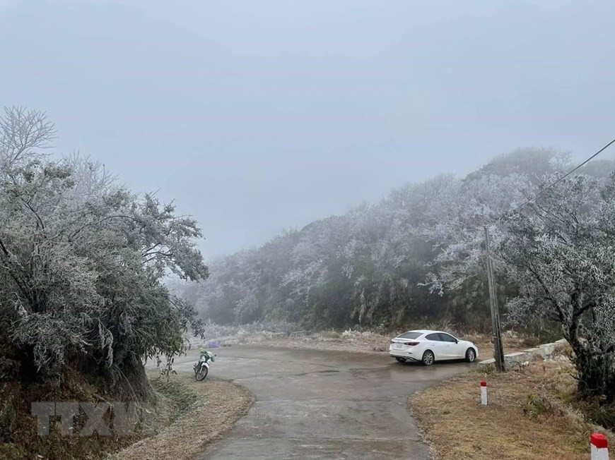 El monte Phia Oac está cubierto de un color blanco de nieve, como el paisaje de Europa. (Fuente: VNA)
