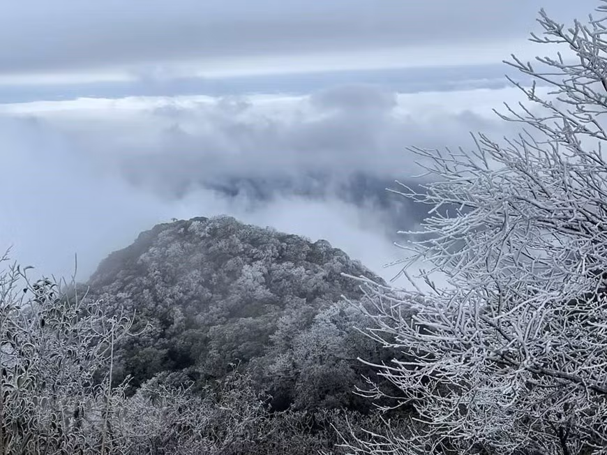 El monte Phia Oac está cubierto de un color blanco de nieve, como el paisaje de Europa. (Fuente: VNA)