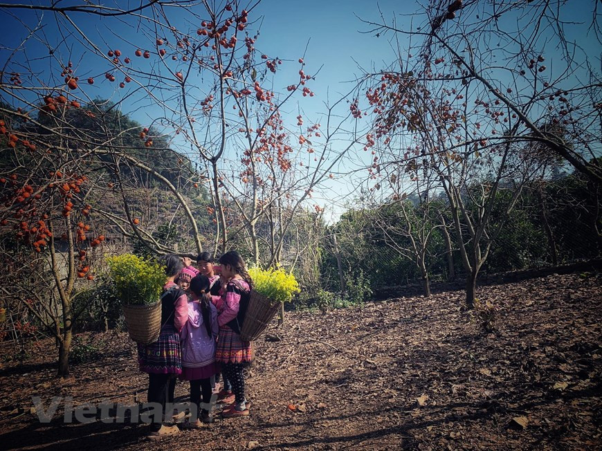 Los niños en trajes tradicionales (Fuente: V+)