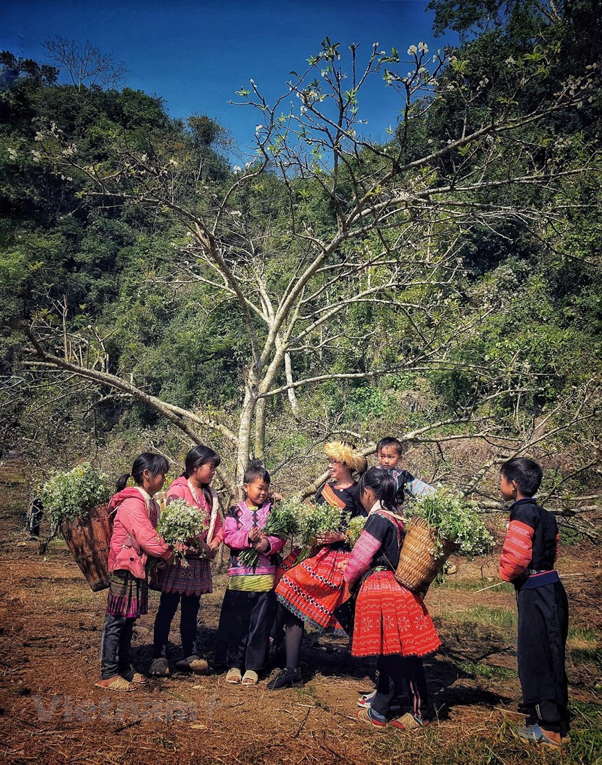 Los niños en trajes tradicionales (Fuente: V+)