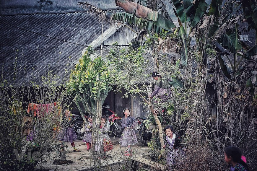 Los niños de la etnia Mong en la aldea de Phieng Canh, comuna de Tan Lap, distrito de Moc Chau. (Fuente: V+)