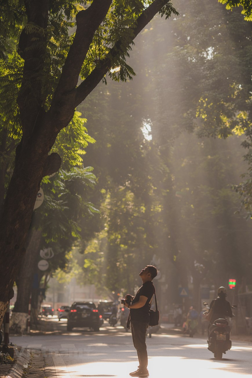 A lo largo de la calle Phan Dinh Phung, tres líneas de árboles Sau brindan una sombra fresca de la luz del sol del verano. En la ciudad, en los últimos años incluso hay altísimos árboles de algodón rojo y extensos ficus y banianos, lo que le da a la urbe algo de la esencia de un pueblo rural. Las hileras de almendros indios en las calles con casas de poca altura hacen que Hanoi parezca una pequeña ciudad alejada del bullicio de la capital del país. En los últimos dos o tres años, se han plantado muchos árboles alrededor de la ciudad, lo que le da un ambiente más fresco. (Foto: Vietnam+) 