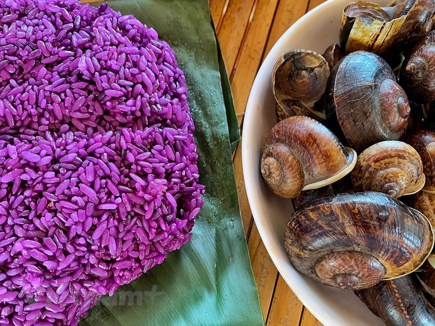 No solo los caracoles rocosos, el arroz glutinoso con el color púrpura de las hojas del noroeste también es un plato que no debe perderse cuando llegue a esta tierra montañosa. El señor Thuan, un residente del distrito de Tan Lac, en la provincia norteña vietnamita de Hoa Binh, compartió que el arroz morado es un plato famoso en la carretera del noroeste. El arroz se cultiva en los campos y tiene los granos grandes. La gente cocina el arroz glutinoso morado con hojas de Khau Cam, también conocidas como hojas de arroz pegajoso que solo se encuentran en las tierras altas. (Foto: Vietnam +) 