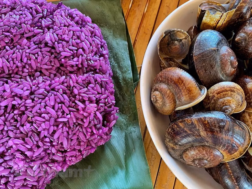 No solo los caracoles rocosos, el arroz glutinoso con el color púrpura de las hojas del noroeste también es un plato que no debe perderse cuando llegue a esta tierra montañosa. El señor Thuan, un residente del distrito de Tan Lac, en la provincia norteña vietnamita de Hoa Binh, compartió que el arroz morado es un plato famoso en la carretera del noroeste. El arroz se cultiva en los campos y tiene los granos grandes. La gente cocina el arroz glutinoso morado con hojas de Khau Cam, también conocidas como hojas de arroz pegajoso que solo se encuentran en las tierras altas. (Foto: Vietnam +) 