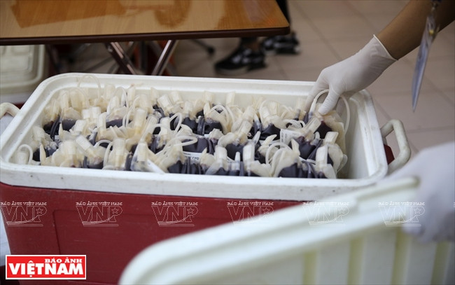 Las unidades de sangre se conservan en cajas de refrigeración. (Fuente: VNA)
