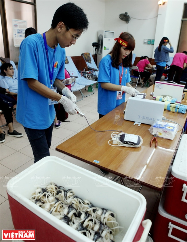 Las bolsas con la sangre donada se conservan en cajas antes de transportarlas al Instituto Nacional de Hematología y Transfusiones de Sangre. (Fuente: VNA)
