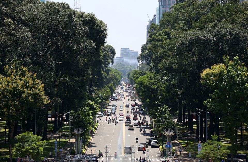 La calle Le Duan, arbolada, es una de las vías más hermosas del centro de Ciudad de Ho Chi Minh (Fuente: VNA)