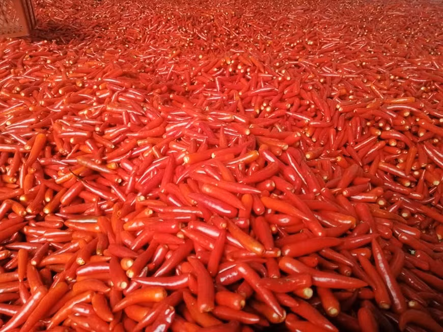 La evolución de la pandemia continúa siendo complicada y en auge a nivel mundial, lo que hace que la economía mundial disminuya rápidamente y empeore cada vez más. En ese contexto, la economía vietnamita también se ve afectada. Un informe de la Oficina General de Estadística señaló que el Producto Interno Bruto (PIB) del país en el primer trimestre aumentó en 3, 82 por ciento, el nivel más bajo en una década. Según los cálculos de expertos de la Universidad Nacional de Economía, el crecimiento del PIB en el segundo trimestre se pronostica en alrededor del dos por ciento, incluso se registraría una recesión si la pandemia continúa. Sin embargo, expresaron su confianza en que la expansión económica de Vietnam se recuperará en el tercer trimestre del año. (Fuente: Vietnam+)