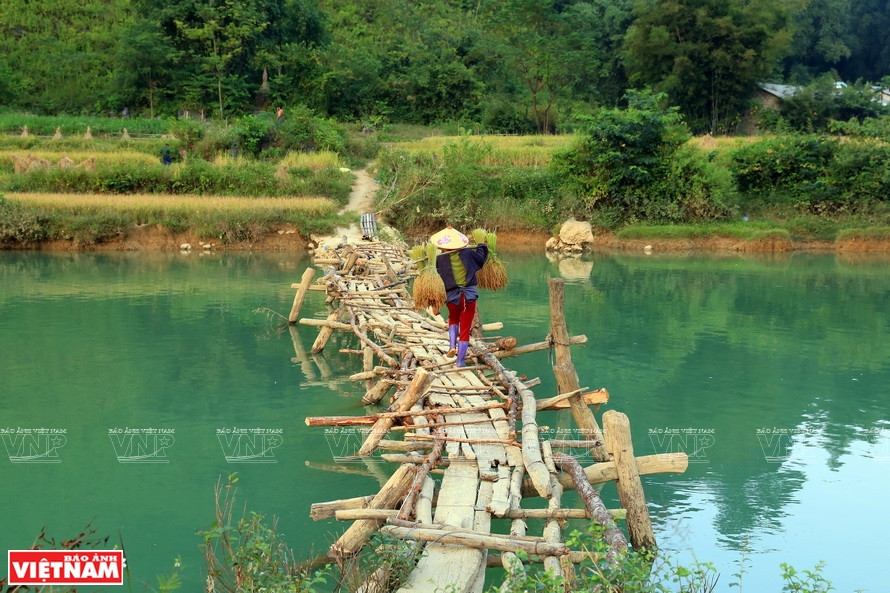 Una residente local lleva arroz a la casa (Foto: VNA)