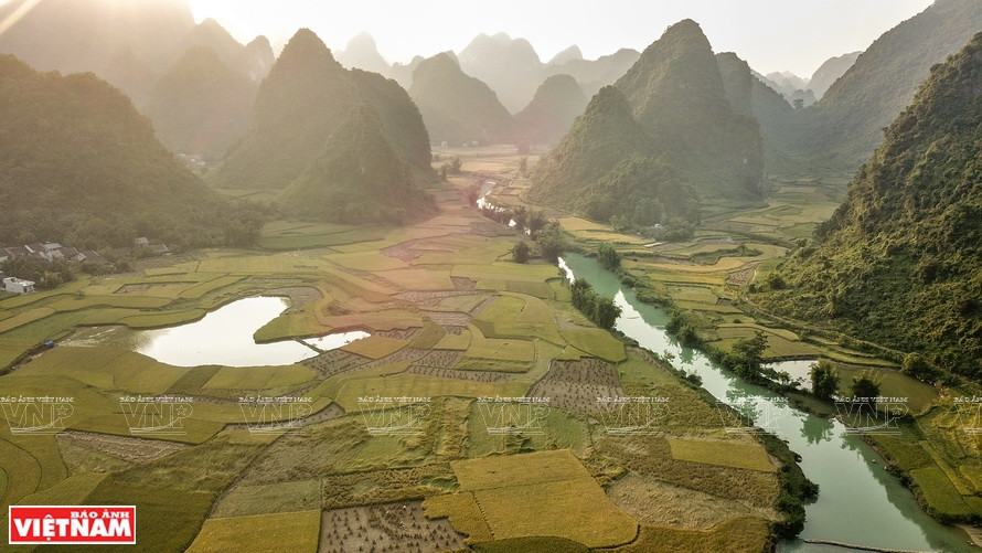 El río Quay Son en el distrito de Trung Khanh (Cao Bang) se parece una pintura de acuarela en la temporada de cosecha de arroz (Foto: VNA)