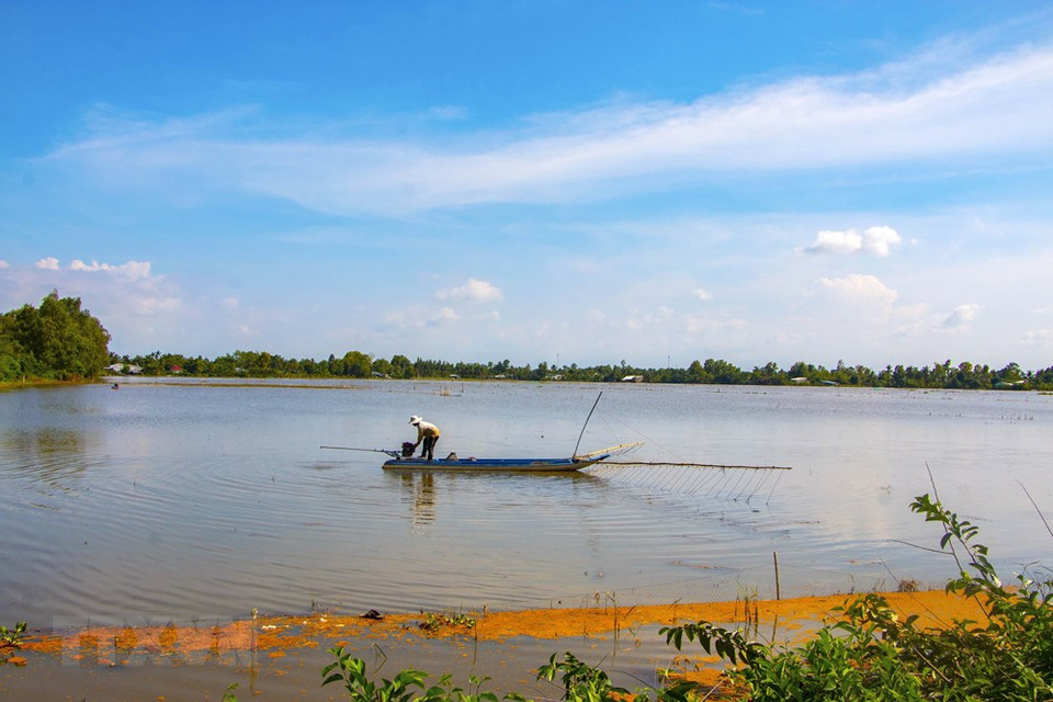 Un poblador del distrito de Vi Thuy pesca en campos inundados (Fuente: VNA)