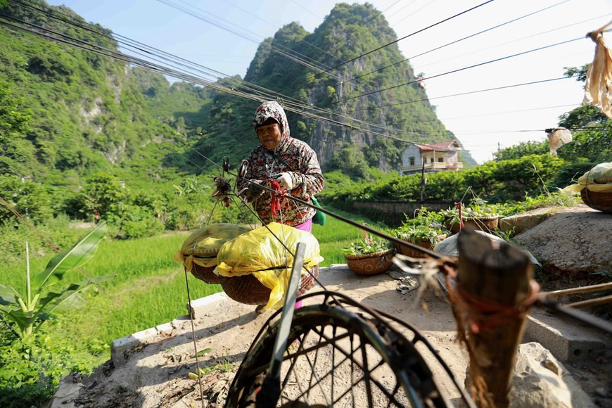 Los residentes locales trasladan productos para venderlos. (Fuente:VNA) 