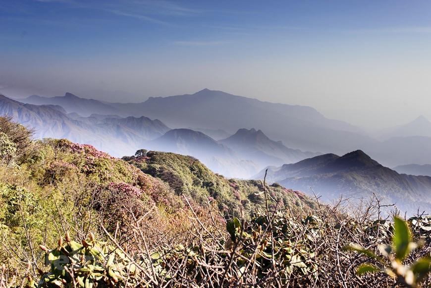 La cordillera Hoang Lien Son es una cadena montañosa en la región noroeste de Vietnam, que cuenta con 30 kilómetros de ancho y 180 kilómetros de longitud, cubriendo las provincias de Lao Cai, Lai Chau y Yen Bai. La parte noroeste tiene muchas montañas que superan los dos mil 800 metros de altura, de las cuales el monte Phan Xi Pang, con tres mil 143 metros de altura, es el “techo” más alto de Indochina, seguido por la cima Ta Giang Phinh, con tres mil 90 metros y Pu Luong, con 938 metros de altura. En 2019, la prestigiosa revista estadounidense National Geographic nombró a este sitio como uno de los destinos más emocionantes del mundo. (Foto: Vietnam+)