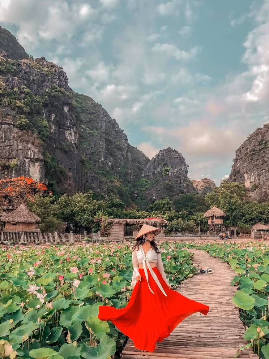 Especialmente en medio del lago de flores de loto al pie de la montaña Ngoa Long, se encuentra un impresionante puente de madera con forma de loto gigante. La gente puede caminar por este camino y tomar fotografías con las flores. La flor de loto aquí es suave, pura y fragante. A diferencia del loto en Hanoi, el género en Ninh Binh es una variedad japonesa que tiene las alas más pequeñas y puntiagudas, pero sigue siendo muy hermosa y fragante. La escena de un gran estanque de flores de loto rosadas en plena floración hace que todos se encaprichen (Foto: Vietnam+)