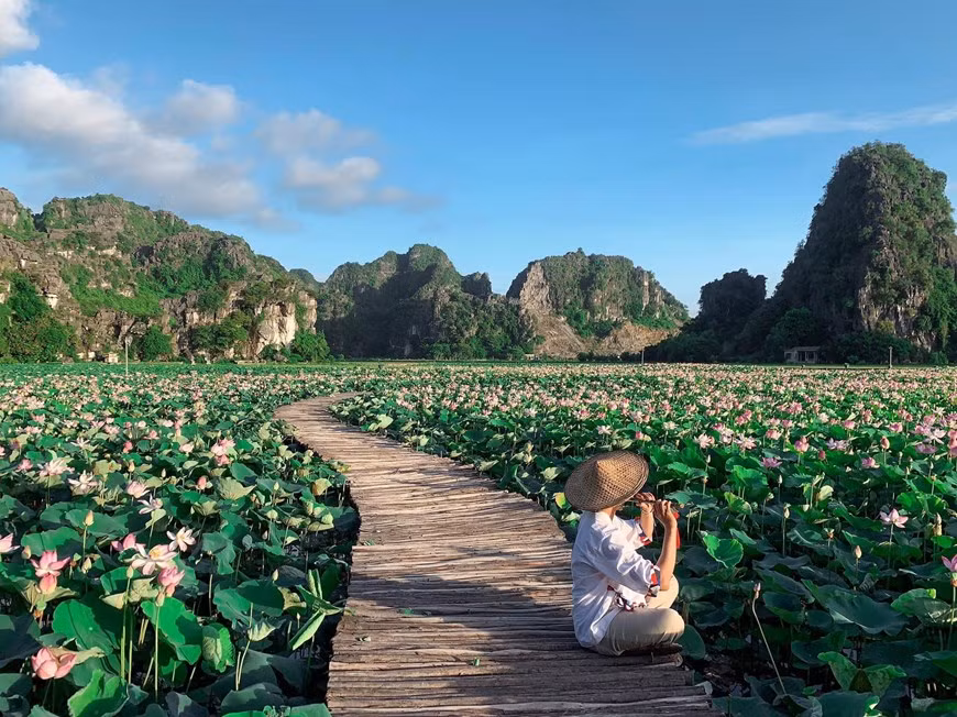 Para tener imágenes impresionantes en este lugar, las mujeres eligen vestidos elaborados sofisticadamente. Muchas mujeres revelaron que estos trajes se pueden encontrar en los servicios de alquiler de equipos de viaje en la provincia de Ninh Binh. Cada traje cuesta entre 70 mil y 150 mil dong vietnamita. Aquí, las mujeres pueden subir 500 escalones hasta la cima de Cueva Mua para ver el amanecer y luego bajar y tomar fotografías con el estanque de lotos. Las flores siguen brotando así que deben aprovechar el tiempo para visitarlo temprano. Al llegar a Ninh Binh deben visitar otros lugares famosos como la pagoda Bai Dinh, el complejo paisajístico Trang An, y el bosque de Cuc Phuong (Foto: Vietnam+)