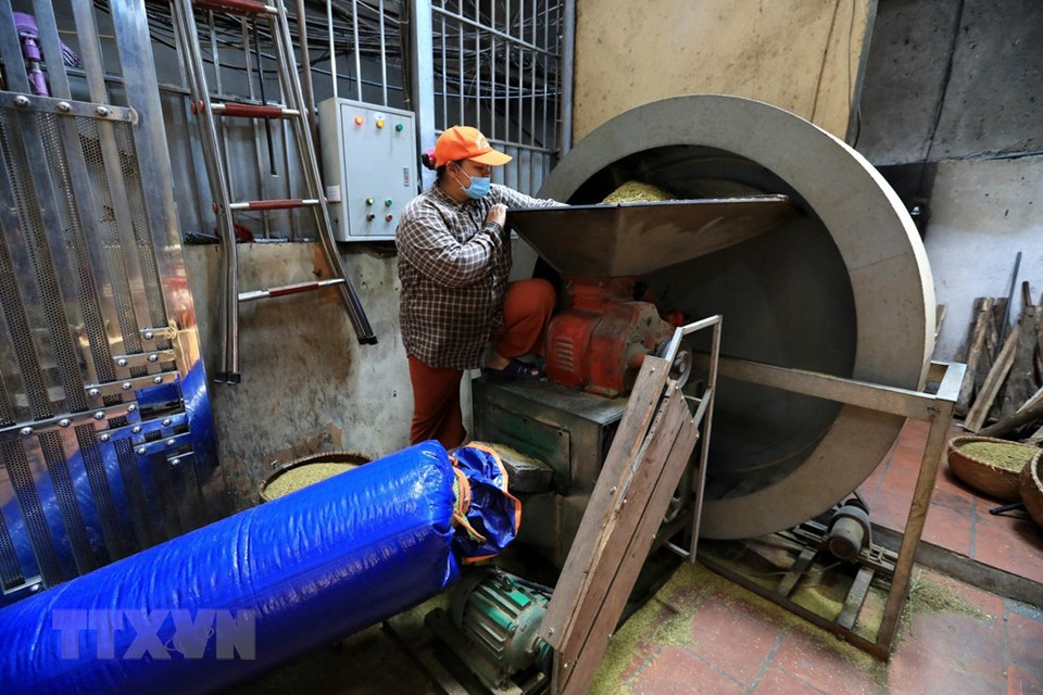 La familia del señor Sang figura entre los pocos hogares que mantienen vivo el oficio de hacer el Com, aunque ha cambiado las etapas de producción manual pro un proceso en el que interviene la mecanización (Fuente:VNA)