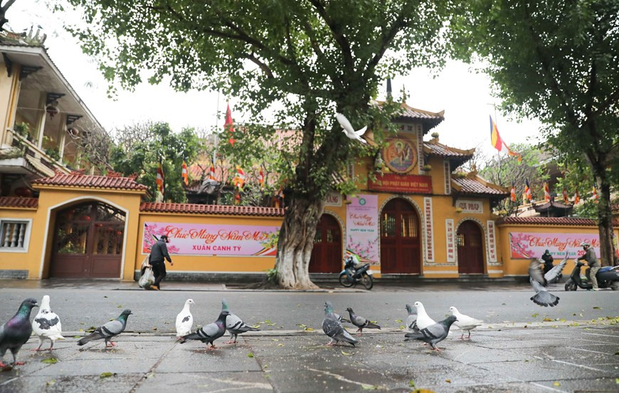El ambiente tranquilo en la pagoda de Quan Su (Foto: VNA)