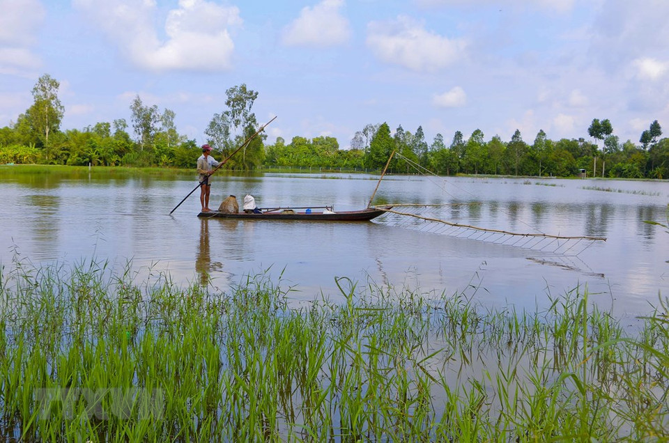 Las inundaciones dañaron numerosas hectáreas de cosechas (Fuente: VNA)