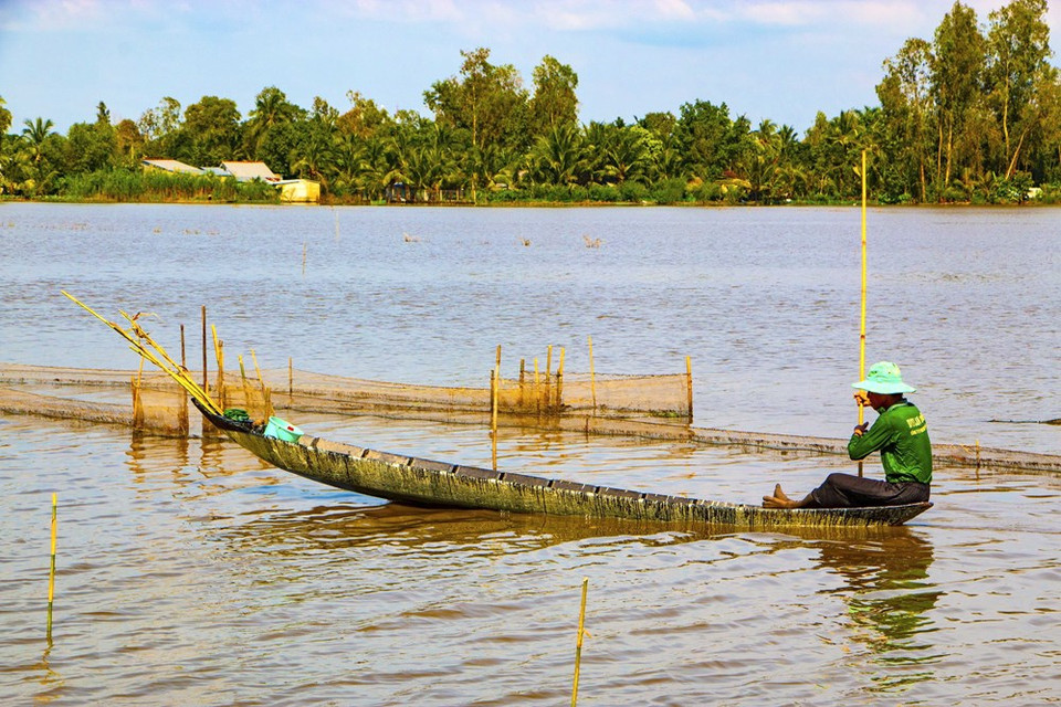 Campos inundados en el distrito de Vi Thuy (Fuente: VNA)