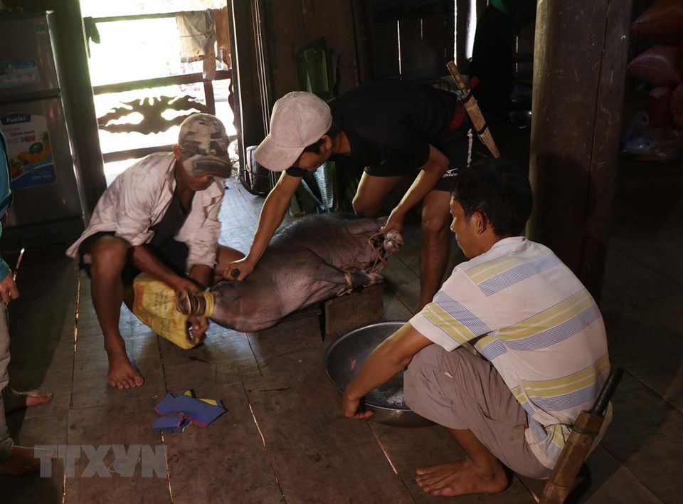 Se preparan ofrendas para invitar a los dioses y antepasados al asistir a la fiesta del Año Nuevo de Celosia. (Foto: Nguyen Xuan Tien / VNA)