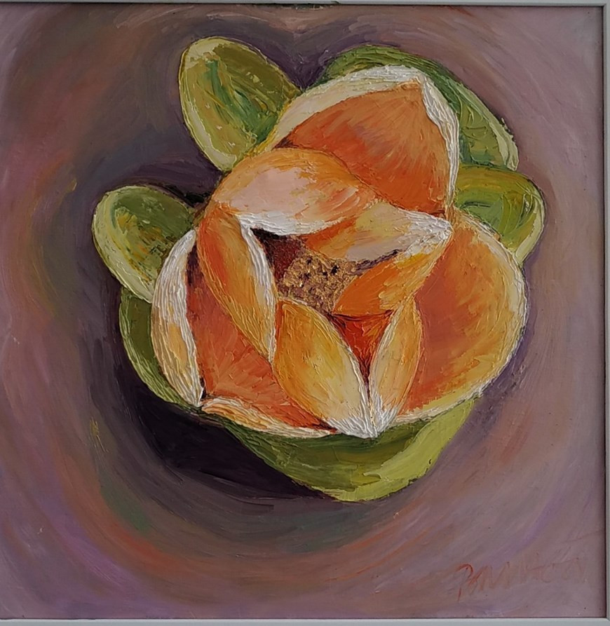 Rumdul fue nombrada la flor nacional de Camboya por decreto del Rey Sihamoni en 2005. Conocida también como Mitrella mesnyi, su nombre científico es Melodorum fruticosum. El árbol rumdul mide normalmente de ocho a 15 metros de altura y de 20 a 30 centímetros de diámetro. Durante siglos, la mujer camboyana ha sido comparada frecuentemente con esta flor. Esta especie se puede encontrar en cualquier lugar de Camboya y a menudo se cultiva como planta ornamental en sitios públicos. Con su color amarillento, la belleza de esta flor resalta en la exhibición con la pintura de la artista Bui Minh Hoa. (Foto: Vietnam+)