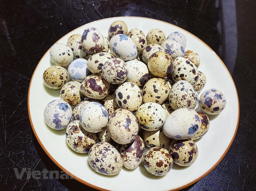 1. Ingredientes para cinco personas: 50 huevos embrionados de codorniz Aunque pueda sonar raro, para los pobladores de la zona asiática los huevos embrionados de codorniz constituyen un ingrediente básico de recetas deliciosas. En Vietnam, es la comida favorita para la merienda en muchas cafeterías callejeras. Cada huevo de codorniz embrionado pesa entre 10 y 12 gramos, aproximadamente cinco veces más pequeño que los huevos de gallina o de pato. Sin embargo, contienen un nivel extremadamente alto de nutrientes. Los huevos de codorniz poseen tanto vitaminas y minerales como proteínas, betacaroteno, lípidos, carbohidratos, colesterol, hierro, calcio, fósforo, vitamina A, vitamina B1, vitamina C, entre otros.