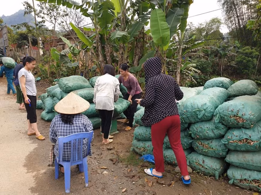 Además, las firmas domésticas necesitan aprovechar el mercado interno, y renovar productos y servicios para satisfacer el mercado interno con casi 100 millones de personas, recomendó. En representación del sector empresarial, el presidente de la Cámara de Comercio e Industria de Vietnam (VCCI), Vu Tien Loc, dijo que su entidad continúa realizando una amplia encuesta para evaluar el impacto de la pandemia en la producción y actividades comerciales y especialmente, en el empleo. Anteriormente, VCCI también presentó al Gobierno 12 soluciones para ayudar a las empresas a superar las dificultades, entre ellas la implementación de un paquete de estímulo para respaldar el consumo de productos de las compañías y garantizar el poder adquisitivo. (Fuente: Vietnam+)