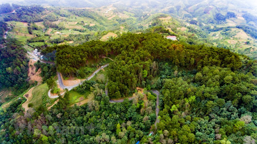 El bosque de pinos Yen Minh en la provincia de Ha Giang es un lugar poético en la meseta noreste del país. Será muy lamentable sin tener la oportunidad de visitar este lugar.(Fuente: VNA)